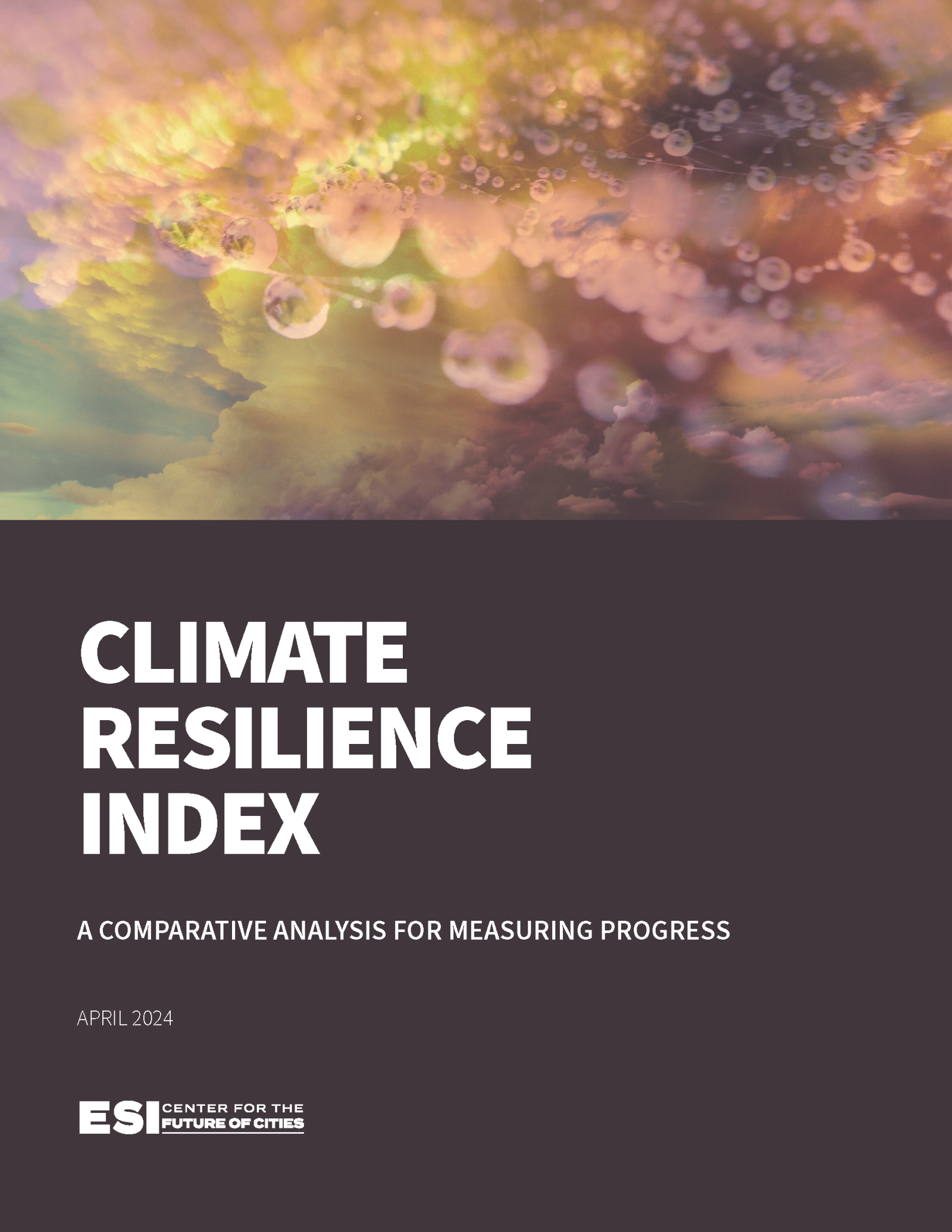 Cover of Climate Resilience Index